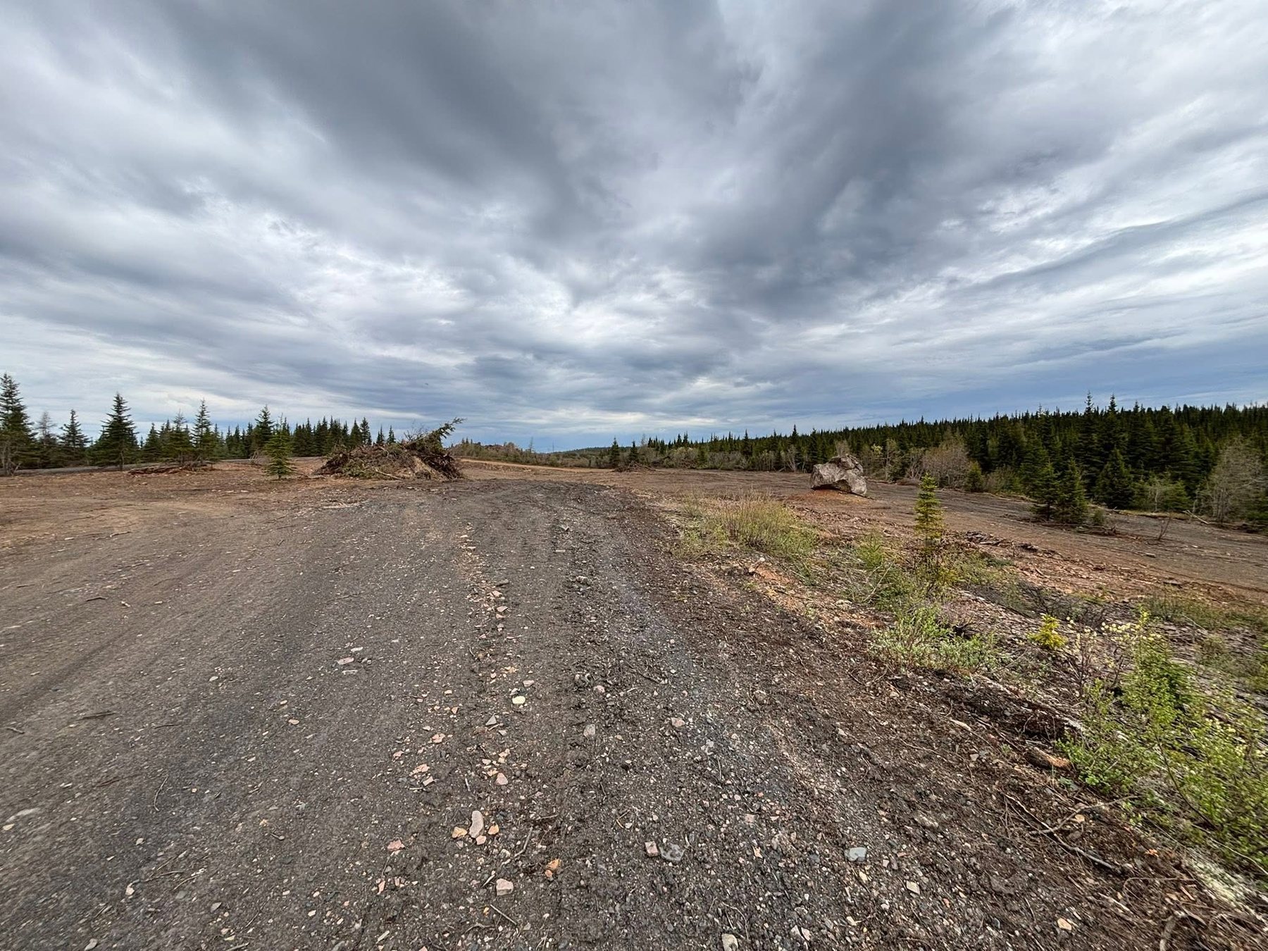 Cleared land with a gravel road and forest in the background.