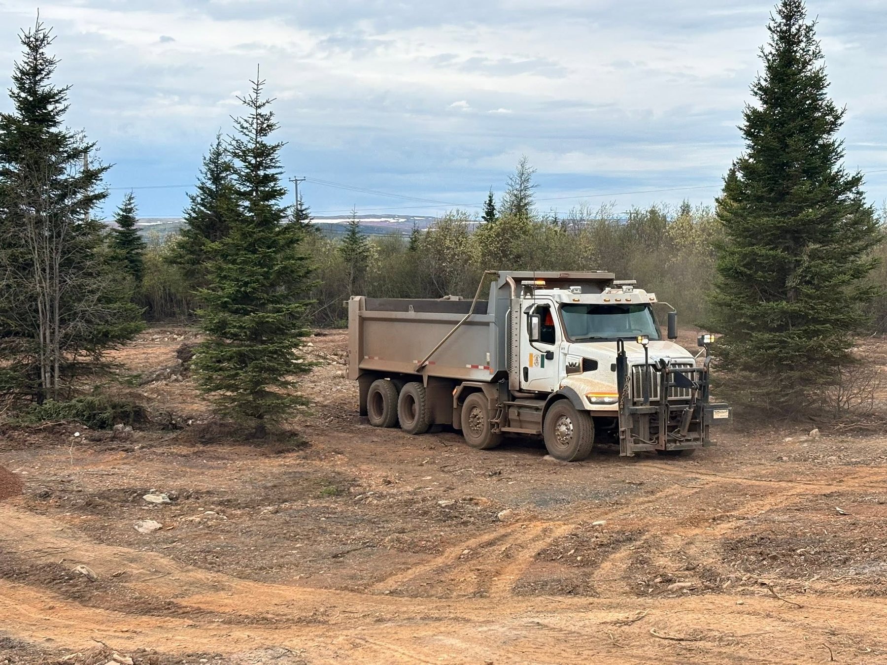 Work truck on the land between spruce trees.